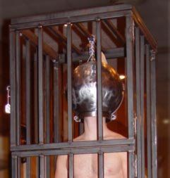 eXtreme Steel Head Cage With 5 Inch Collar